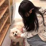 激斗火柴人华为版下载